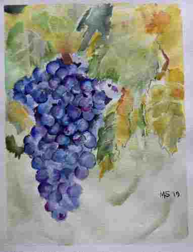 Willamette Valley Harvest
Watercolor 14.2x11"