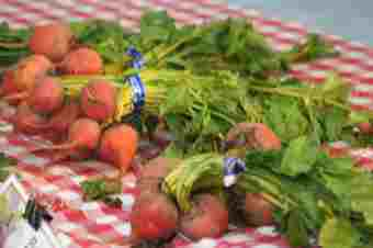 Farmers' Market 
McMinnville, OR